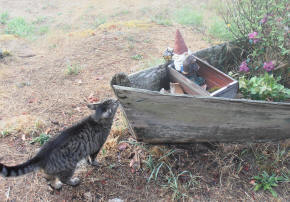 Sparky talking to Gnome in the Flower Boat