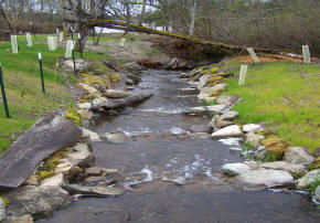 Salmon ladder on Fish Trap Creek