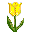 yellow tulip