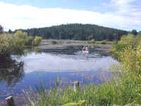 Deer Harbor Wildlife Preserve