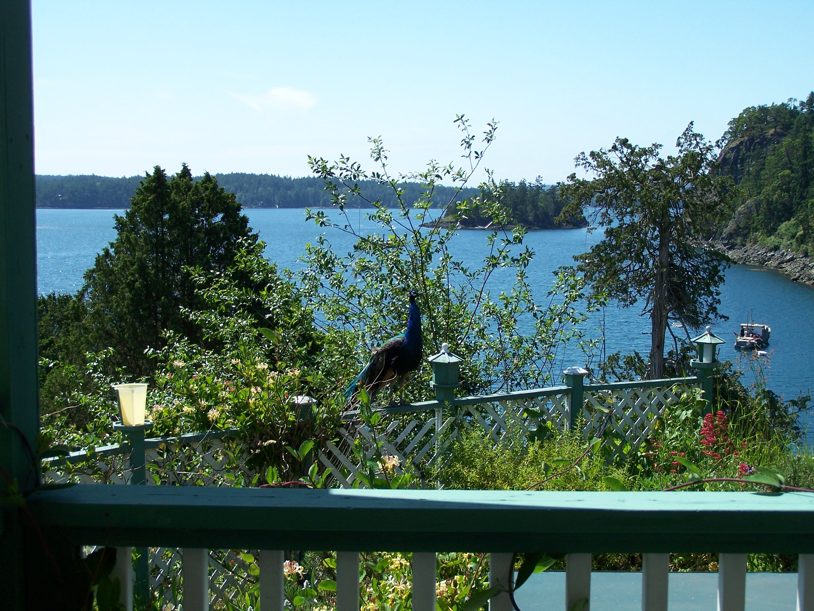 Hot Tub deck and with Great Water Views