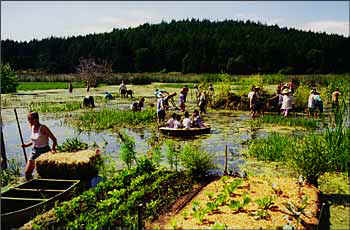 Working the edge of the Marsh