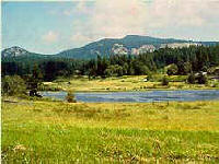 Turtleback Mountain lies north of our Deer Harbor estuary